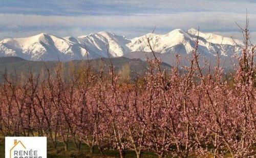 Lili Villa Céret Kültér fotó
