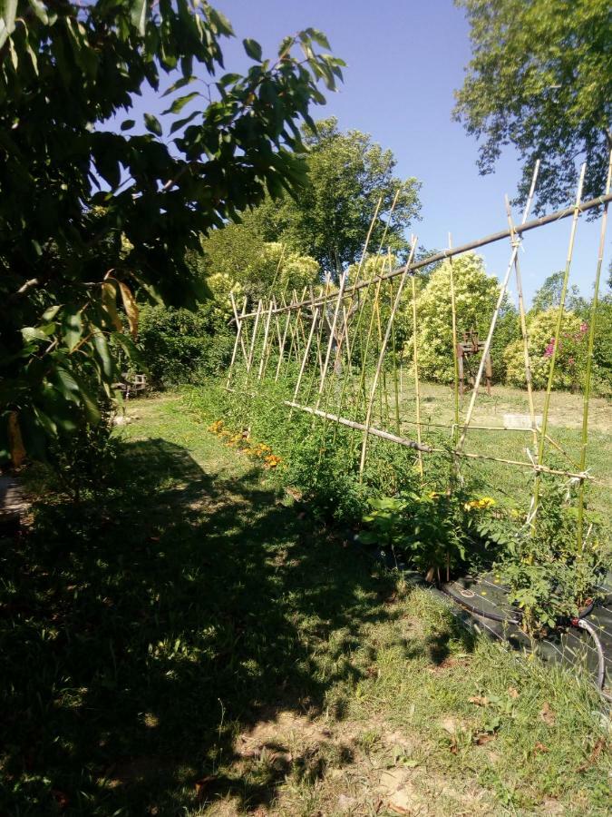 Lili Villa Céret Kültér fotó