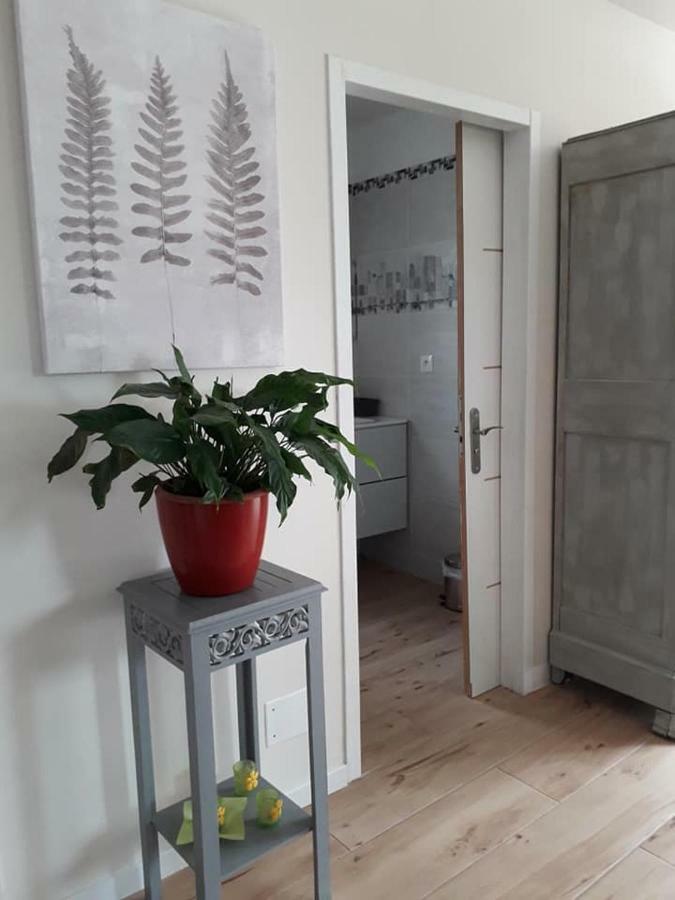 Lili Villa Céret Kültér fotó