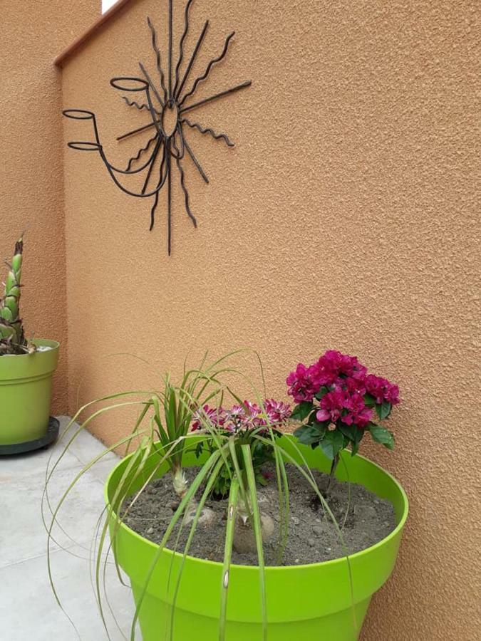 Lili Villa Céret Kültér fotó